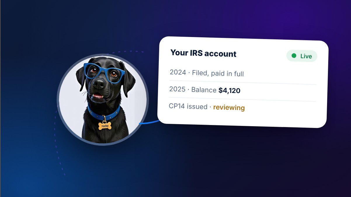A Smarter Way to Understand Your IRS Account